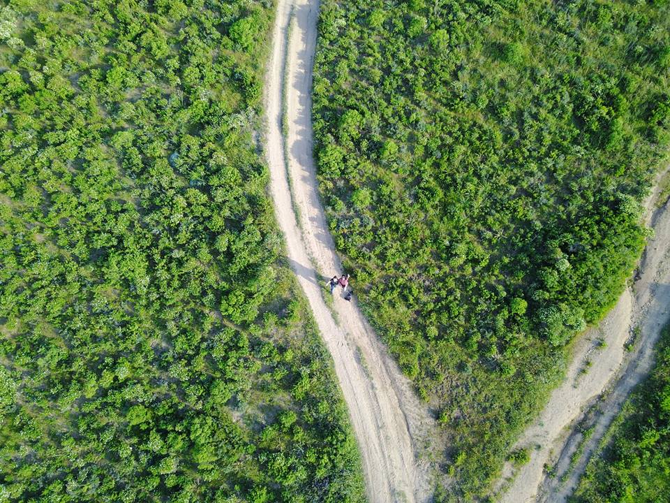 32169785_375649599588138_2455936851895123968_n