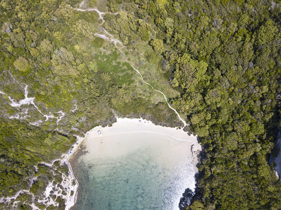 32257260_376460926173672_5910428796674113536_n